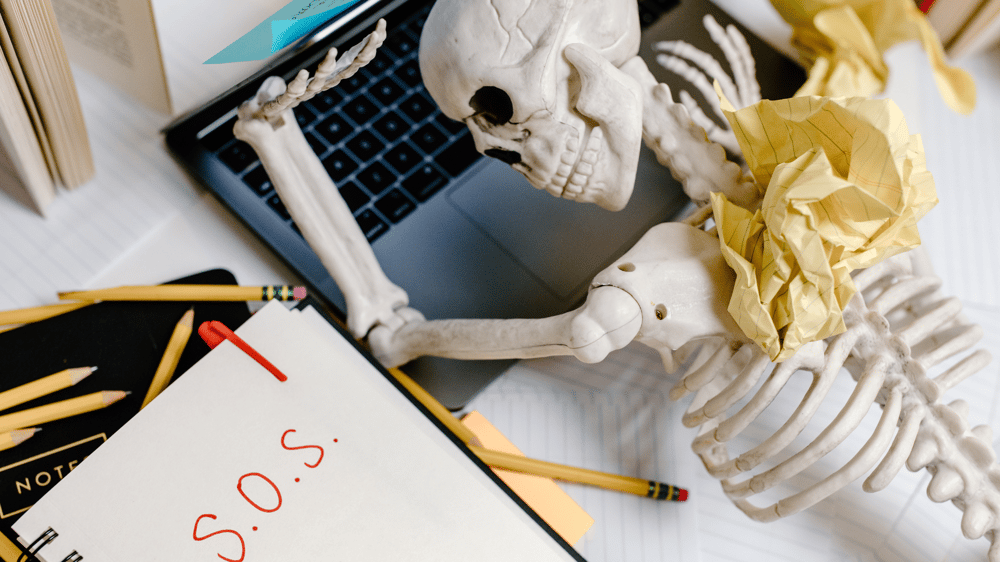skeleton laying on laptop